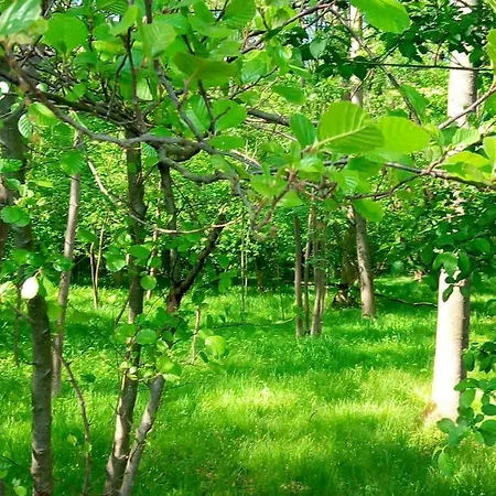 Cascina Armonia Nocleg ze śniadaniem Angera